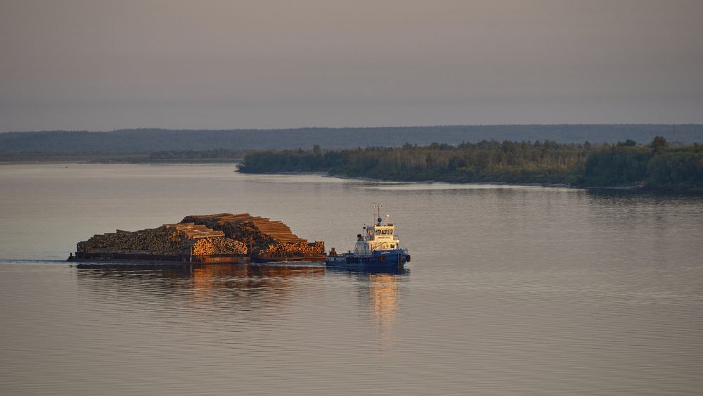 Фотография автора Вячеслав Митрофанов