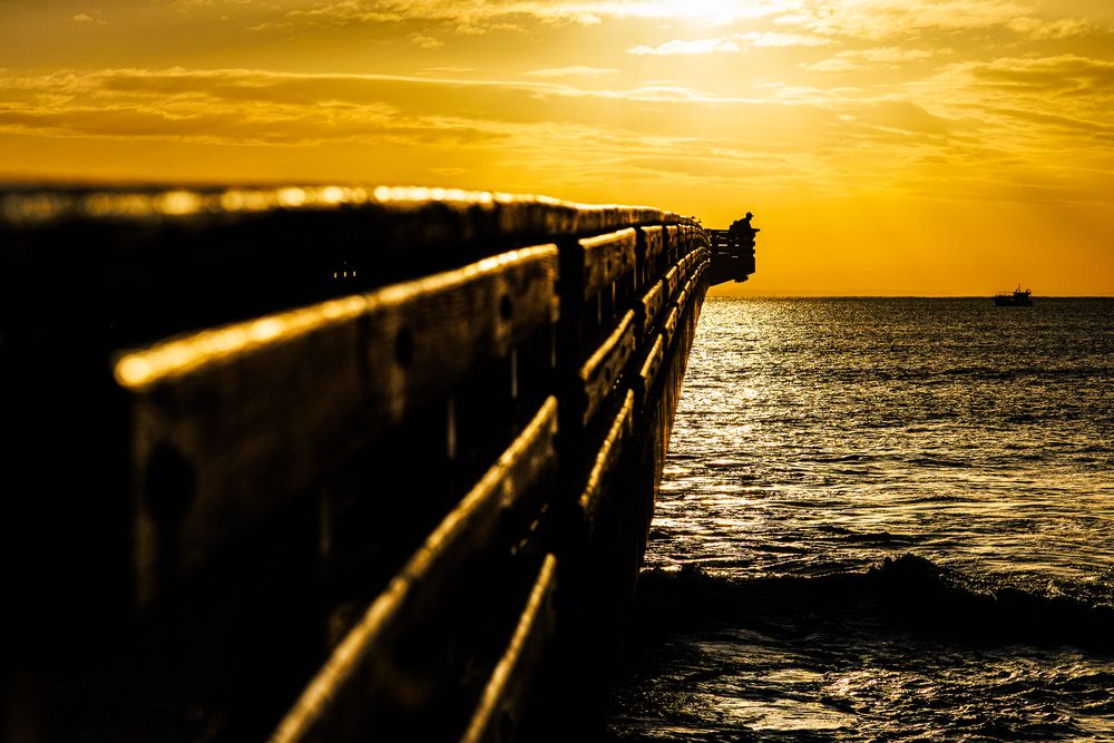 Photograph by Alaa Nour