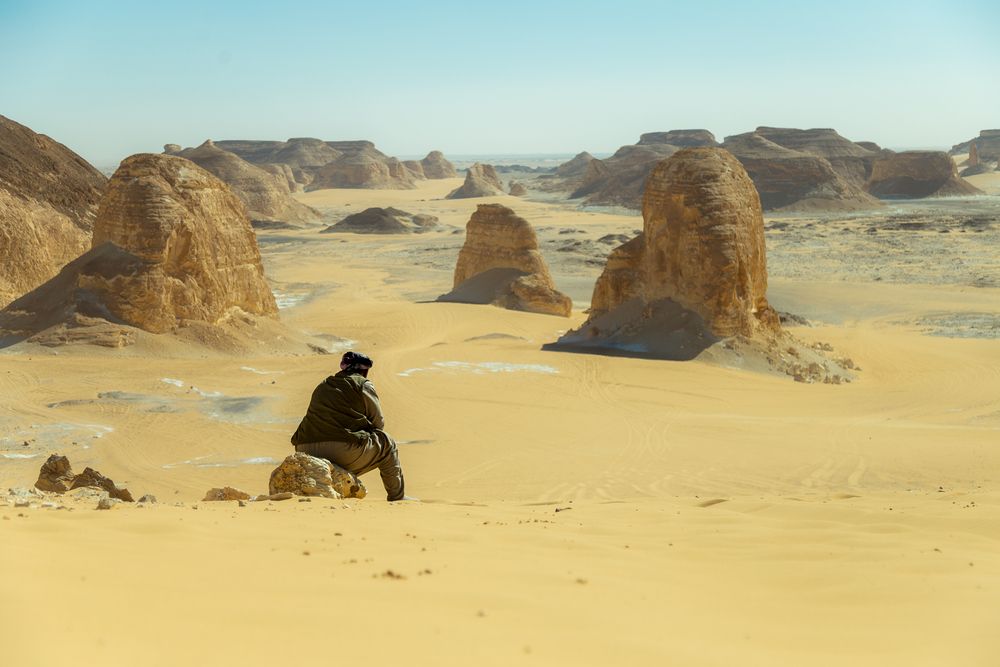 Photograph by Alaa Nour