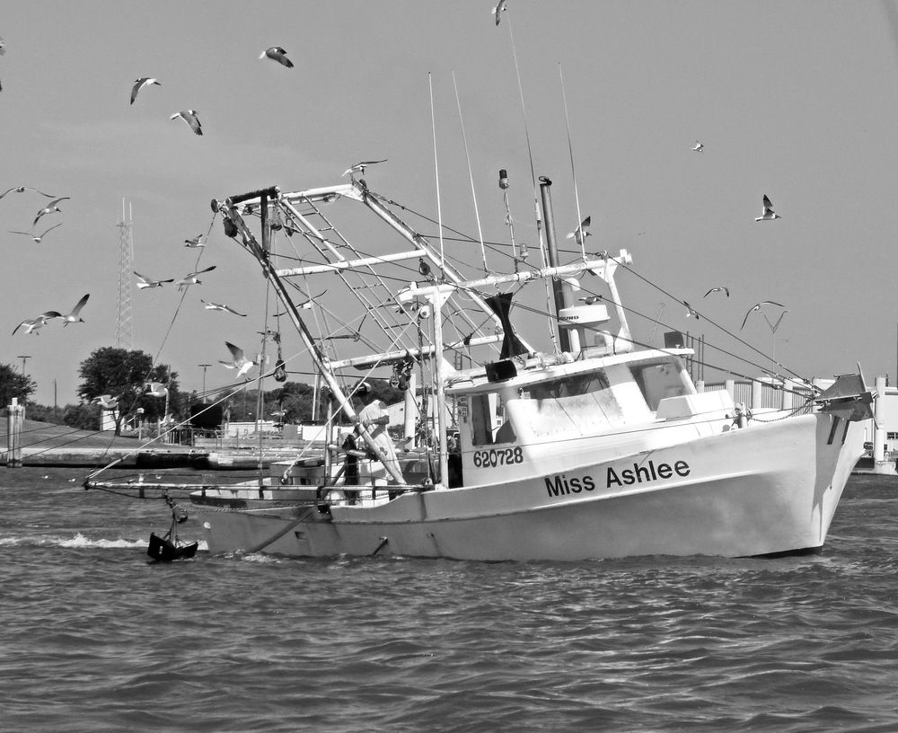 Photograph by Сергей Маслов