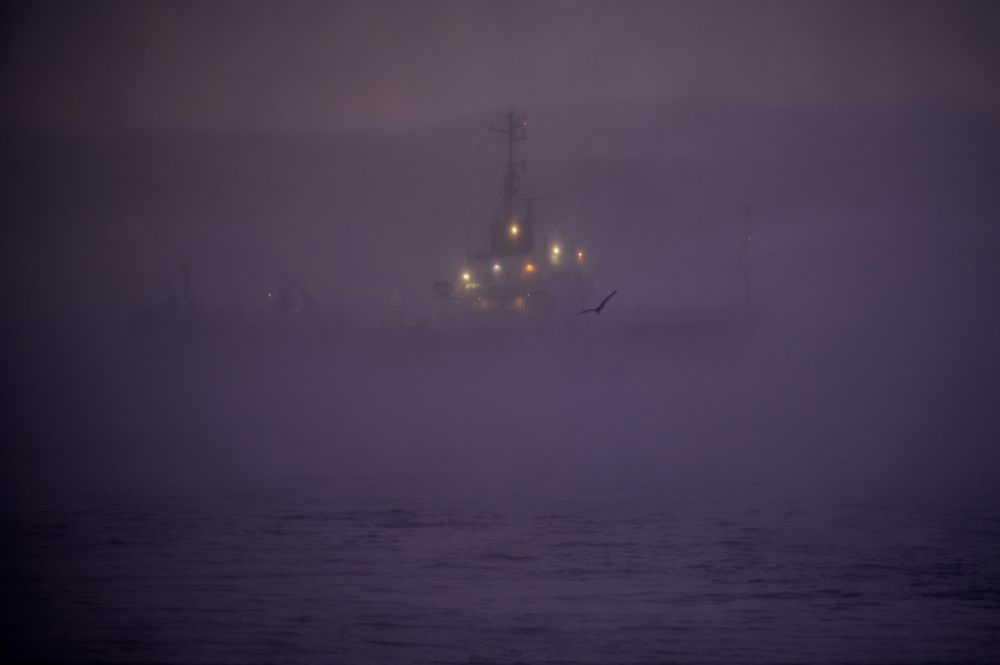 Photograph by Ксения Щербань