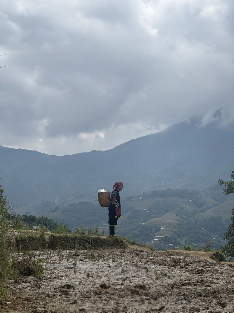 Photograph by Alia