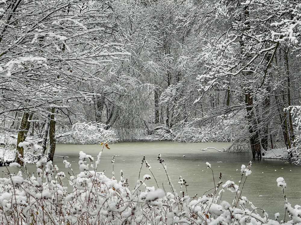 Photograph by Гордий Михаил