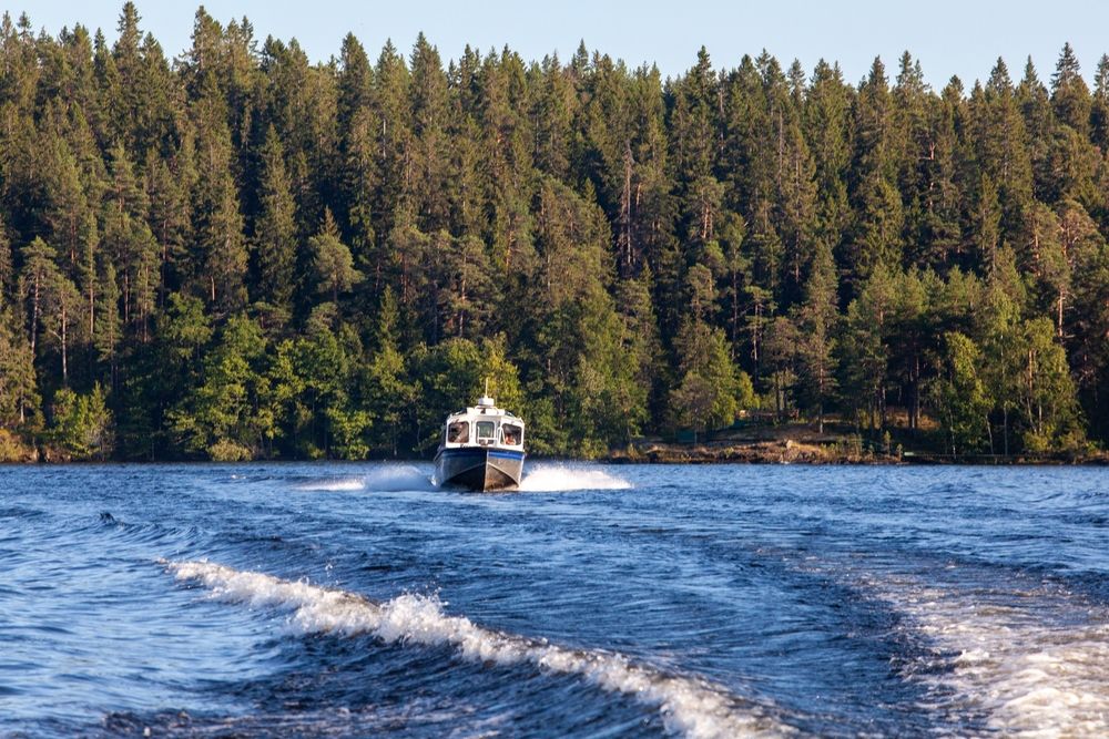 Фотография автора Ольга Зимина