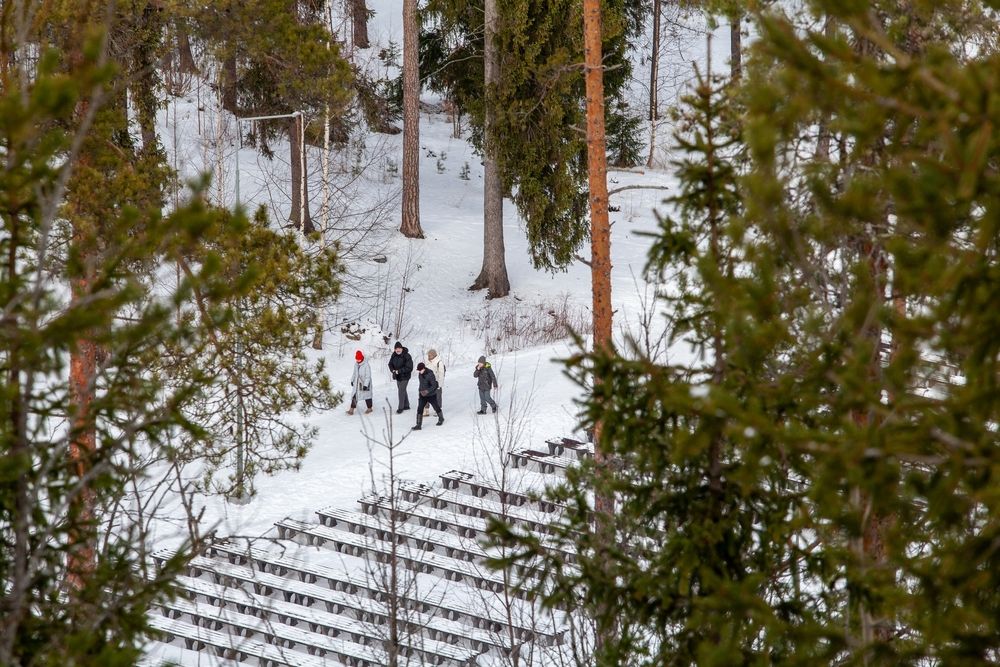 Фотография автора Ольга Зимина