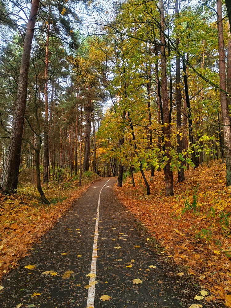Фотография автора Нестеренко Светлана
