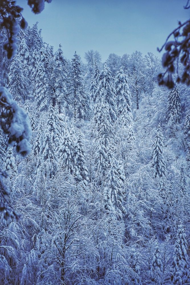 Winter