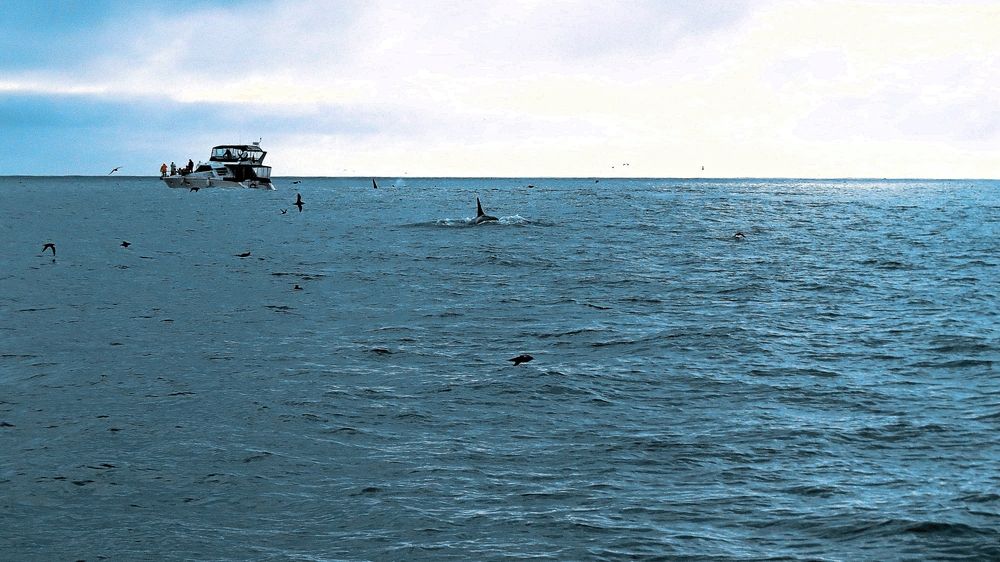 Photograph by Фартушняк Сергей