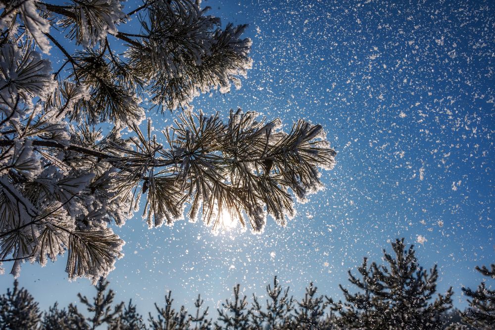 Фотография автора Наталья Димова
