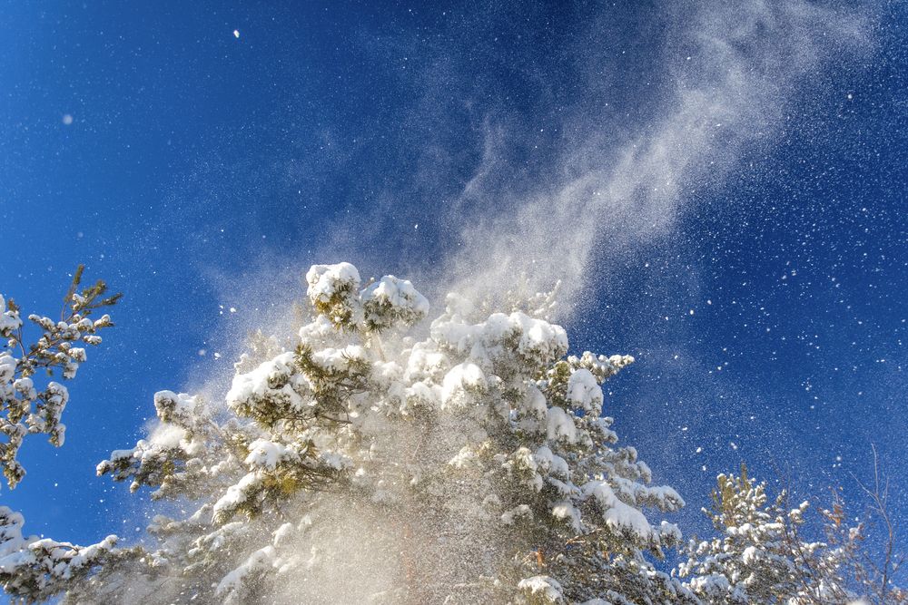 Фотография автора Наталья Димова