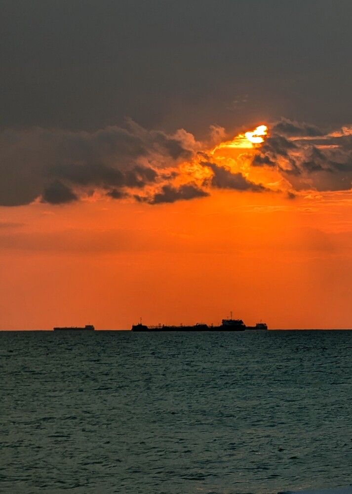 Photograph by AlexaL