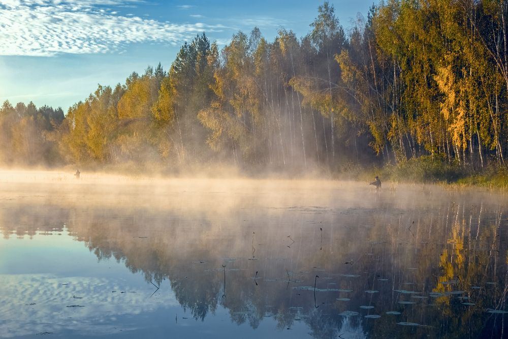 Photograph by Алексеев Дмитрий