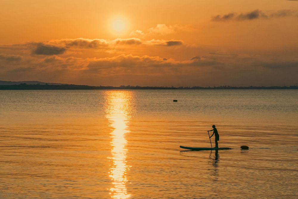 Фотография автора Елена Караилиева
