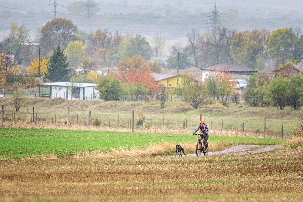 Фотография автора Елена Караилиева