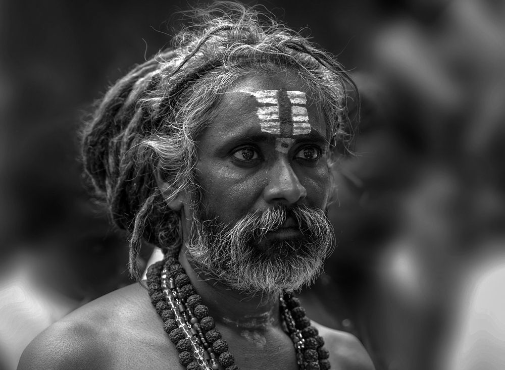Фотография автора ANIL KUMAR DESHPANDE