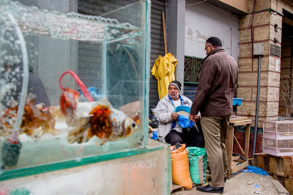 Photograph by Tarek  El Magrabe