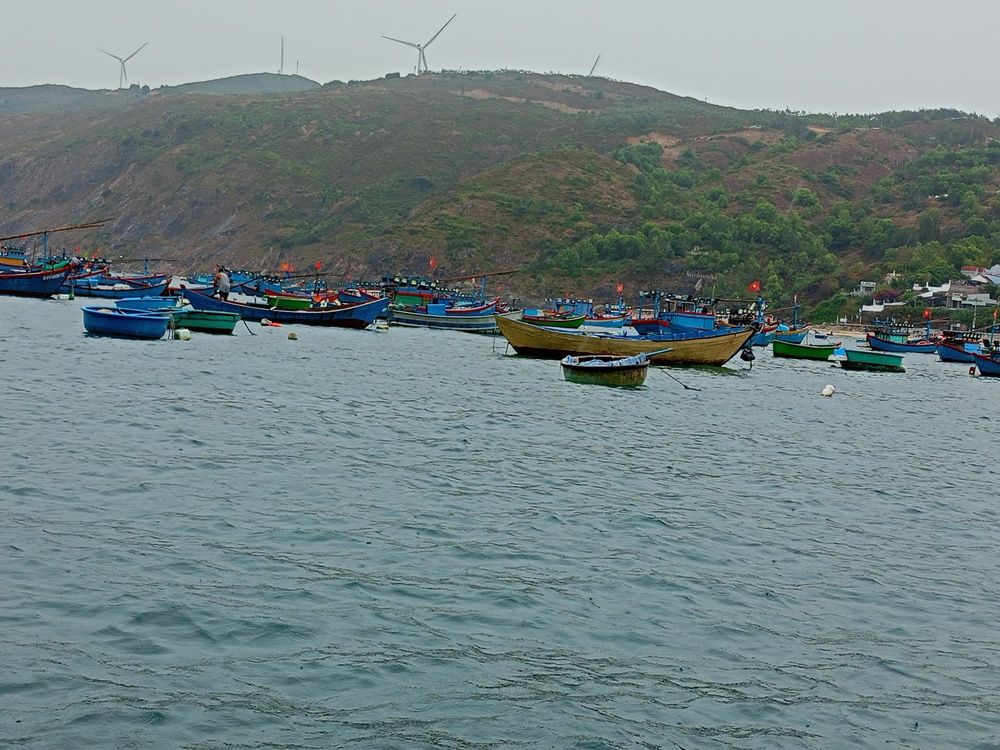 Photograph by Tân Trần Thanh