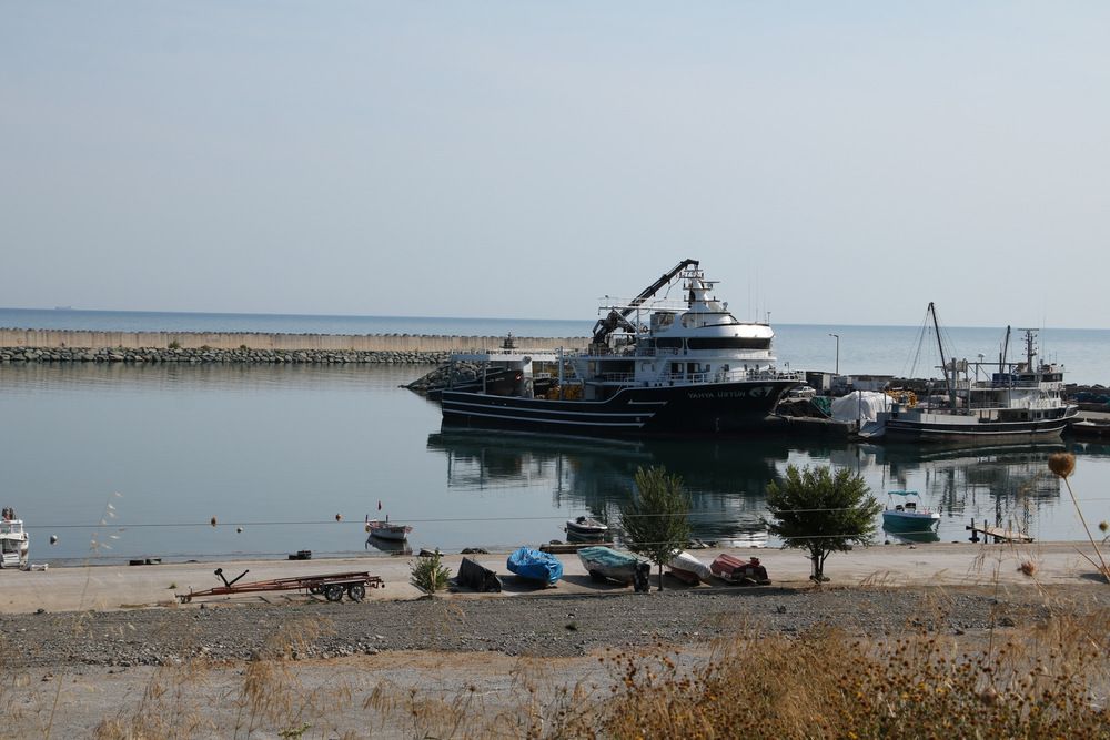 Photograph by Cengiz Yalcin