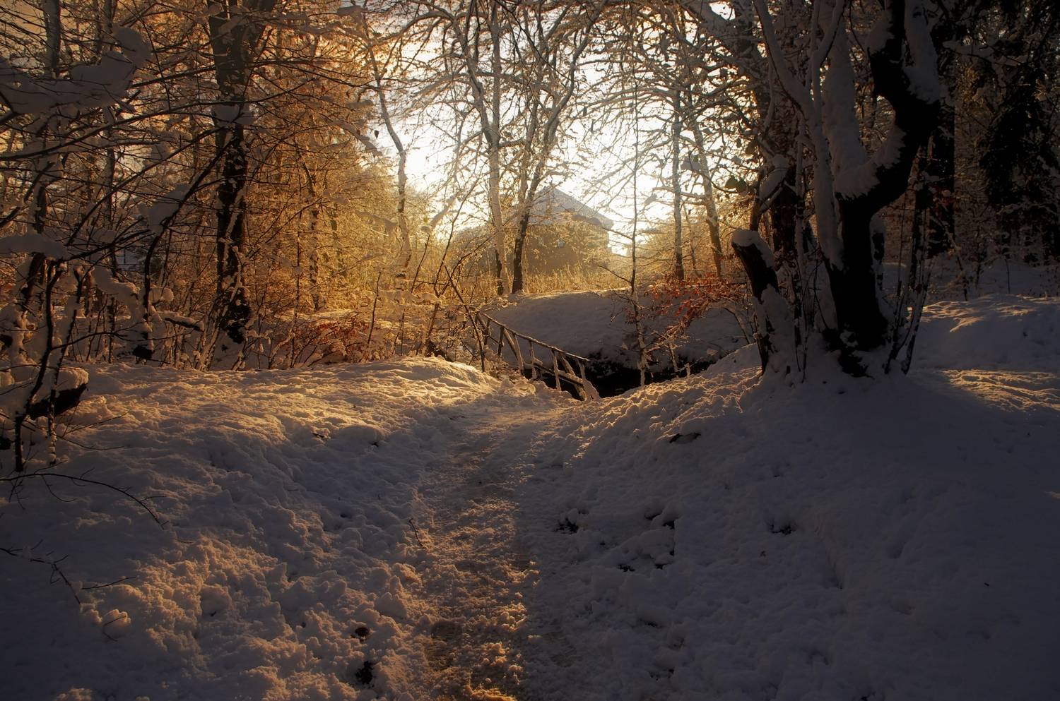 Первый снег (First snow )