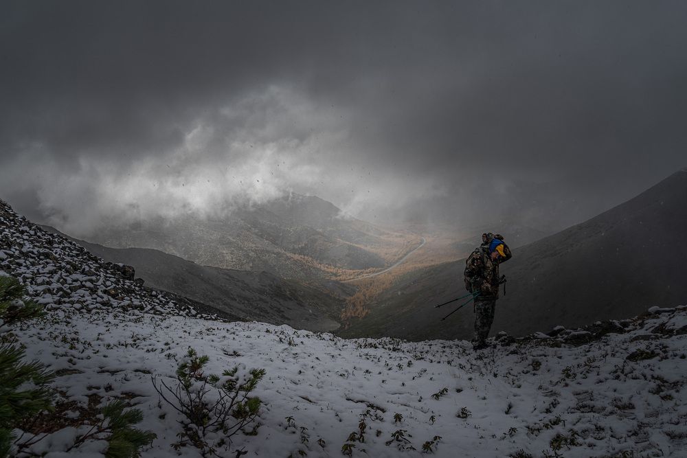 Photograph by Светлана Гореликова