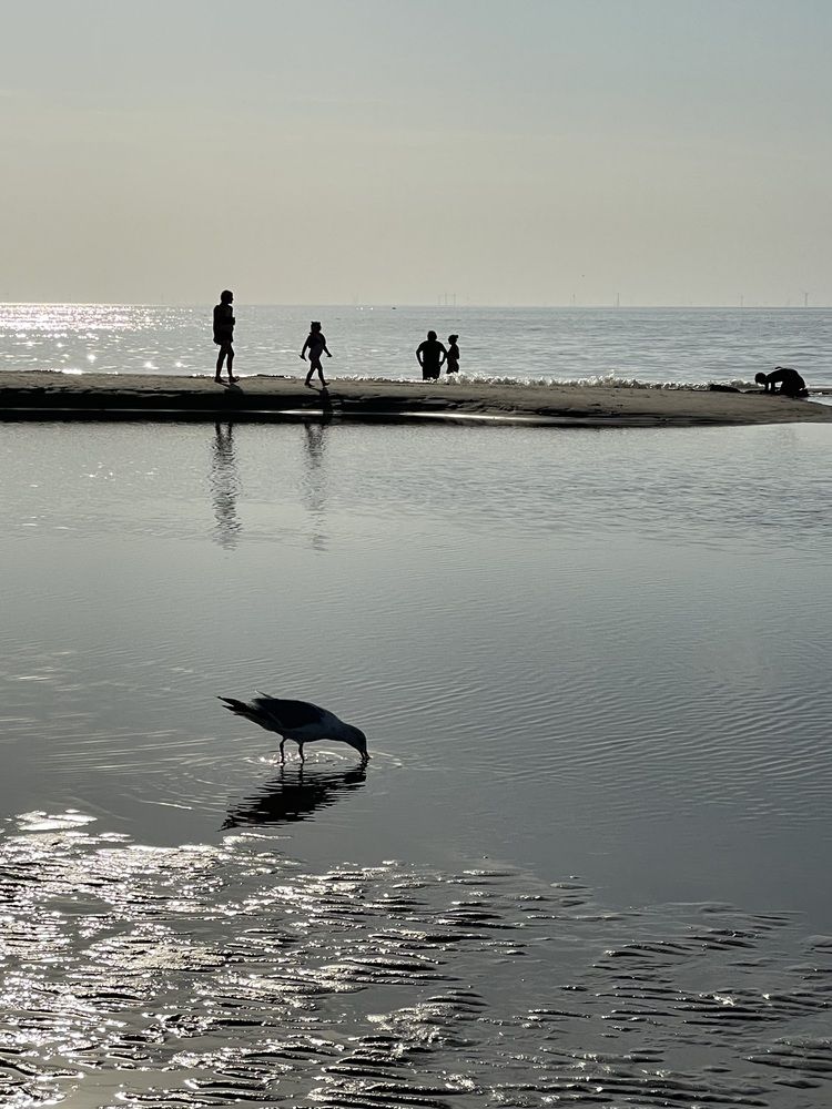 North Sea