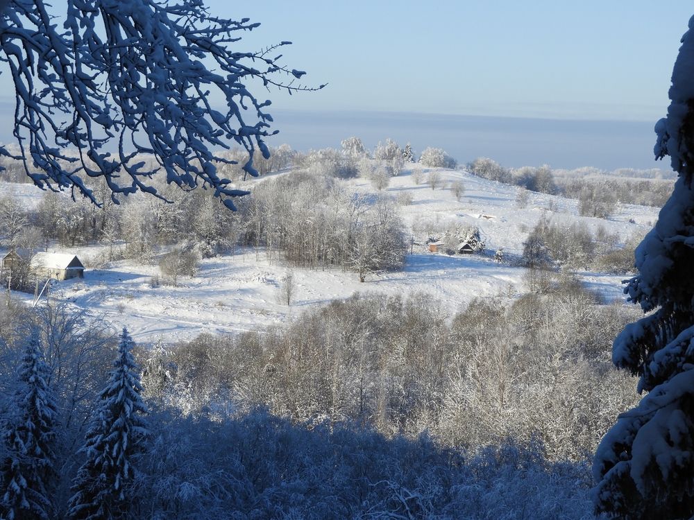 Photo #12884244