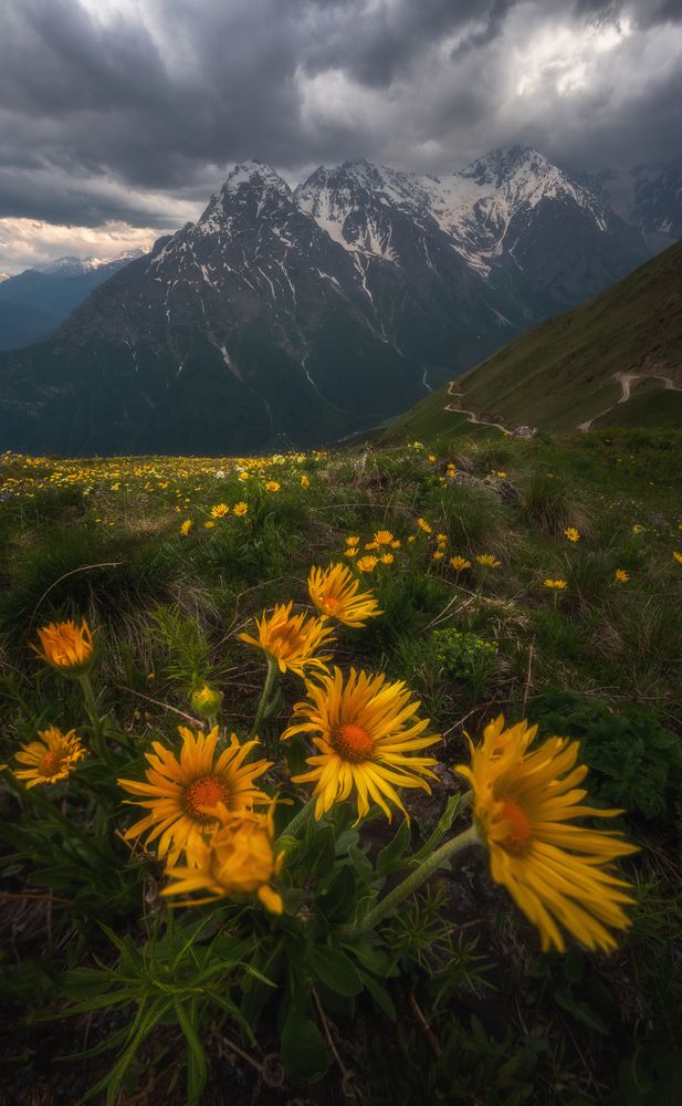 Photograph by Nargiza Kakharova