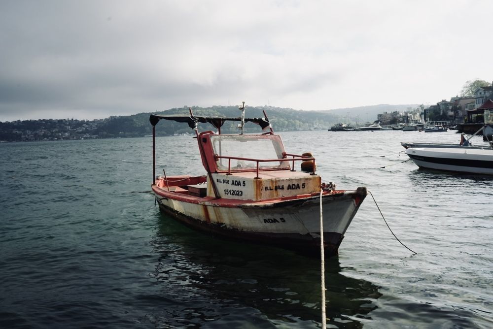 Photograph by Григоренко Семён