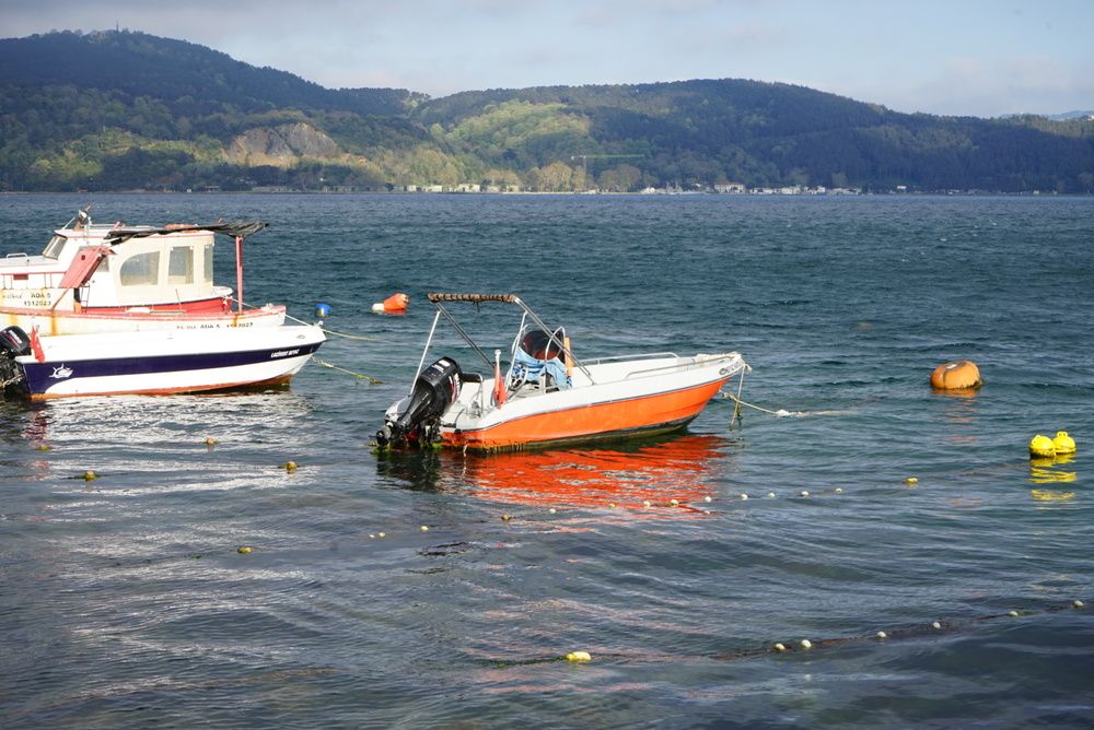 Photograph by Григоренко Семён