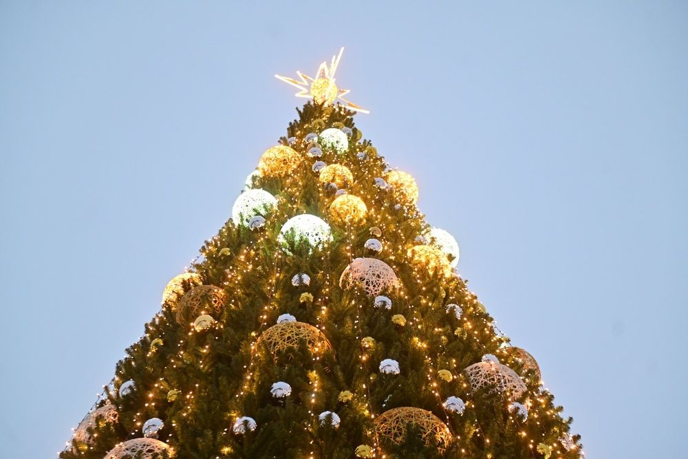 Photograph by Евгений Николаенков