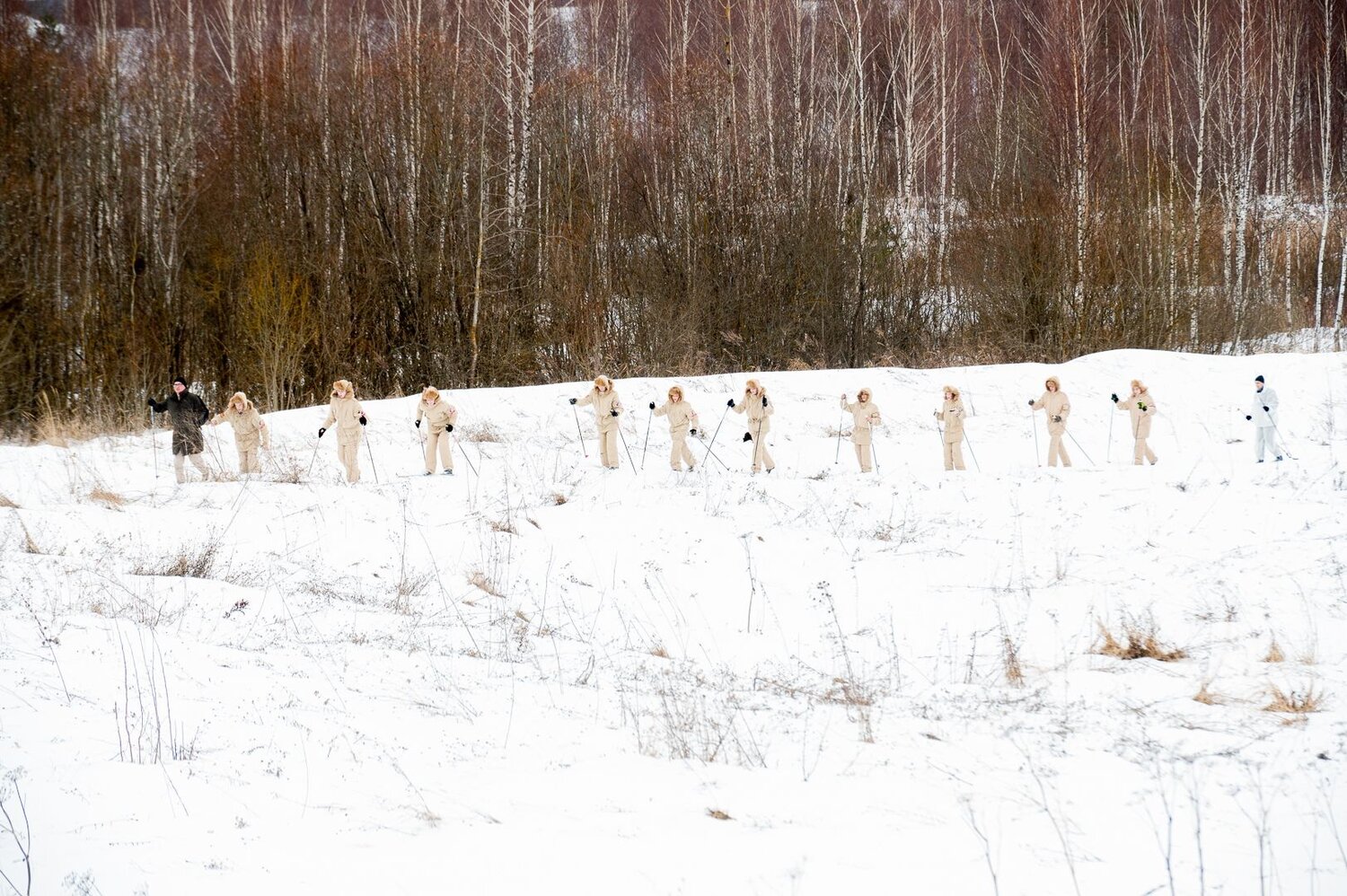 Photo #12885018