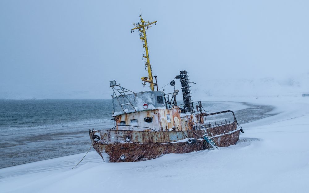 Photograph by Mika Mgla