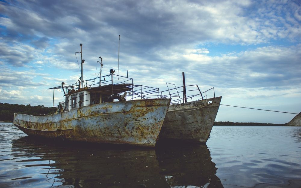 Photograph by Галчонок Ахмерова