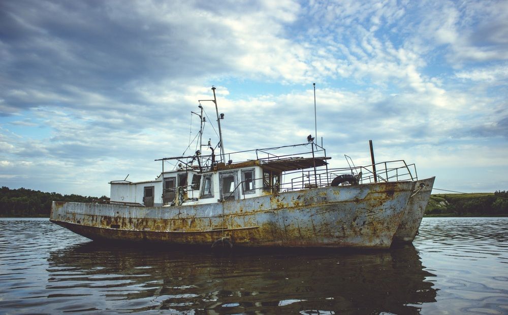 Photograph by Галчонок Ахмерова