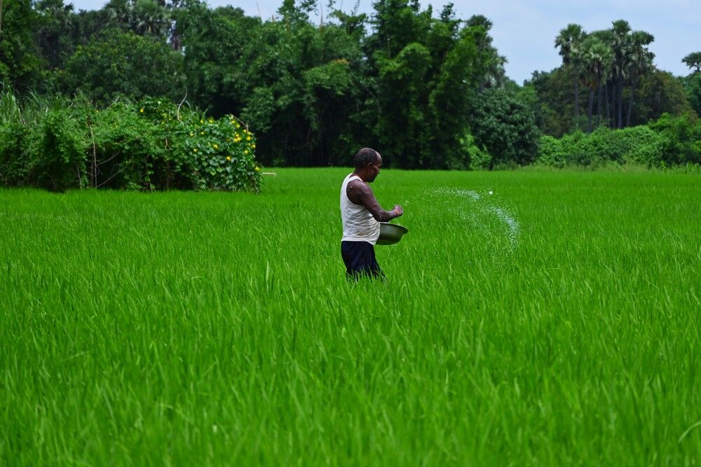 Green Fields at Work
