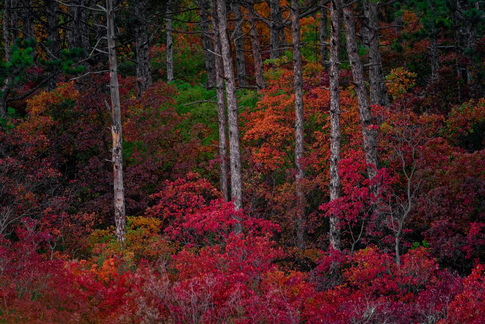 Photograph by Pavel Ivshin