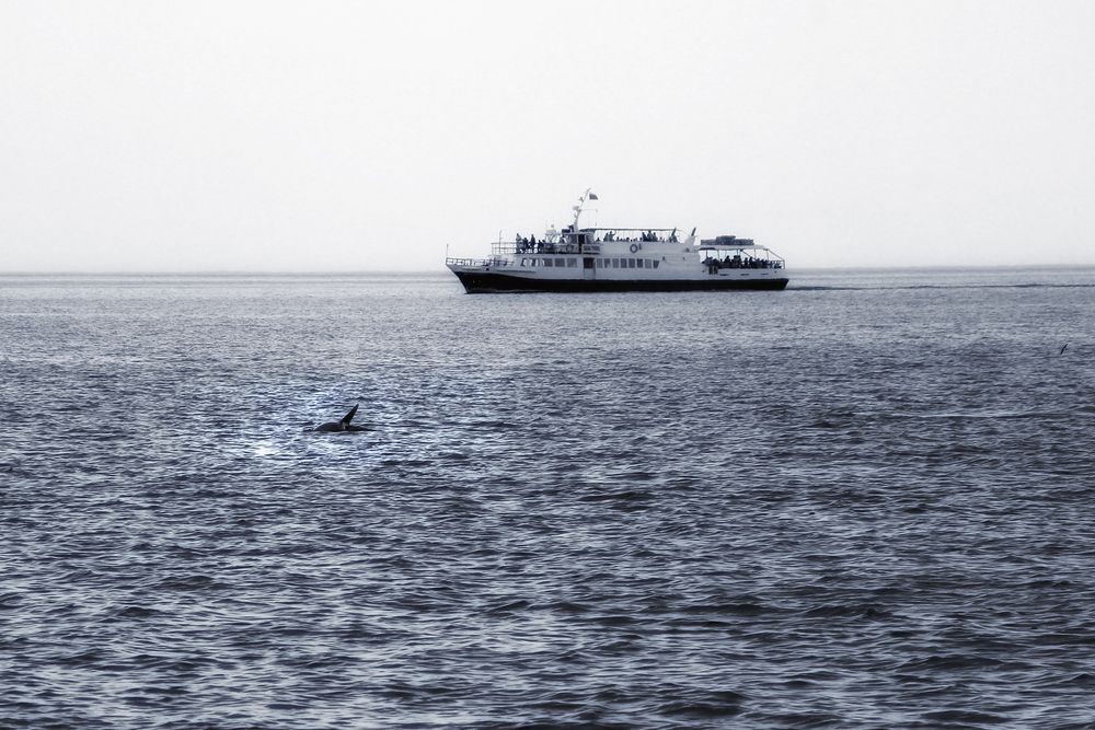 Фотография автора Татьяна Сергиенко