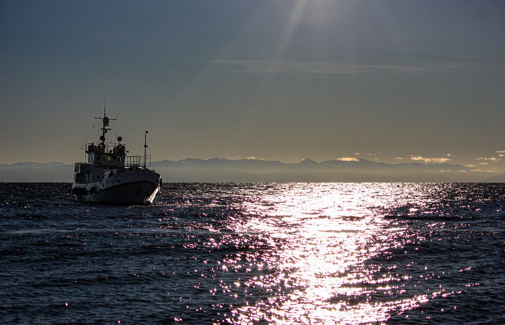 Photograph by Марина Мишутина