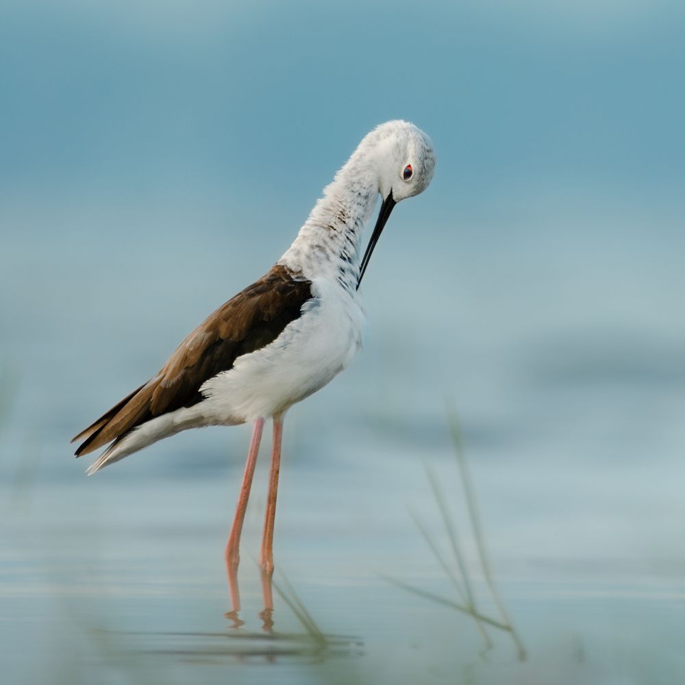 Photograph by MUKESH RAJAN S