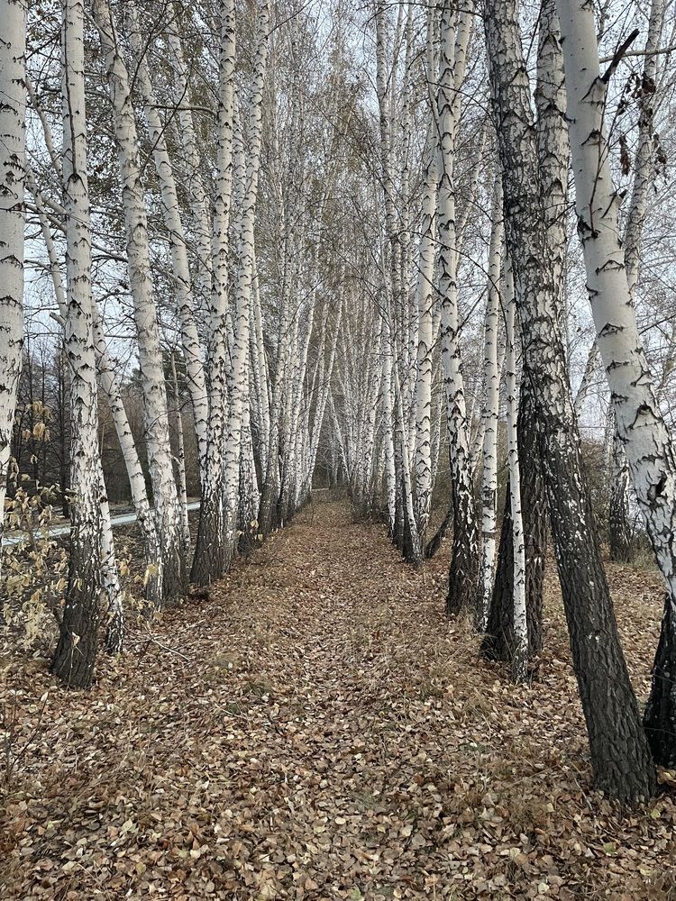 Photograph by Анна