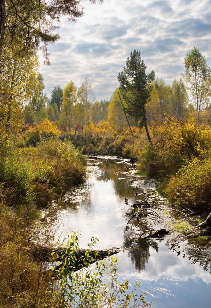 Photograph by Сергей Хранитель