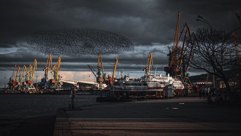 Фотография автора Михаил Спрау