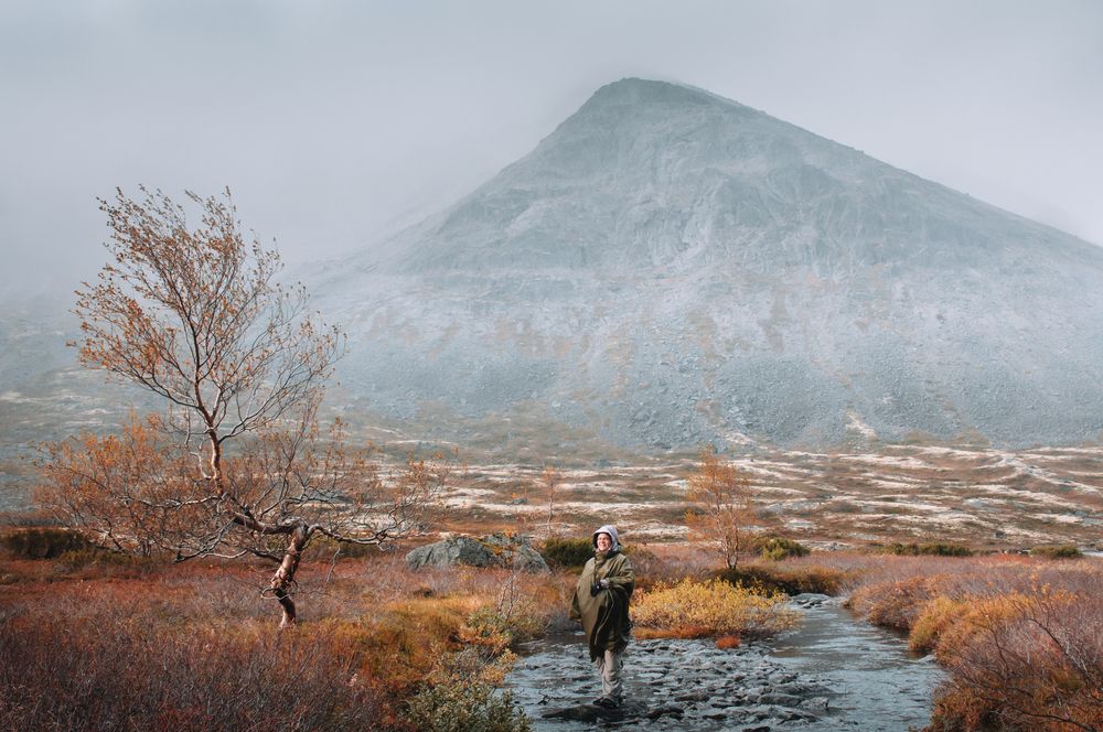 Photograph by Алексей Новиков