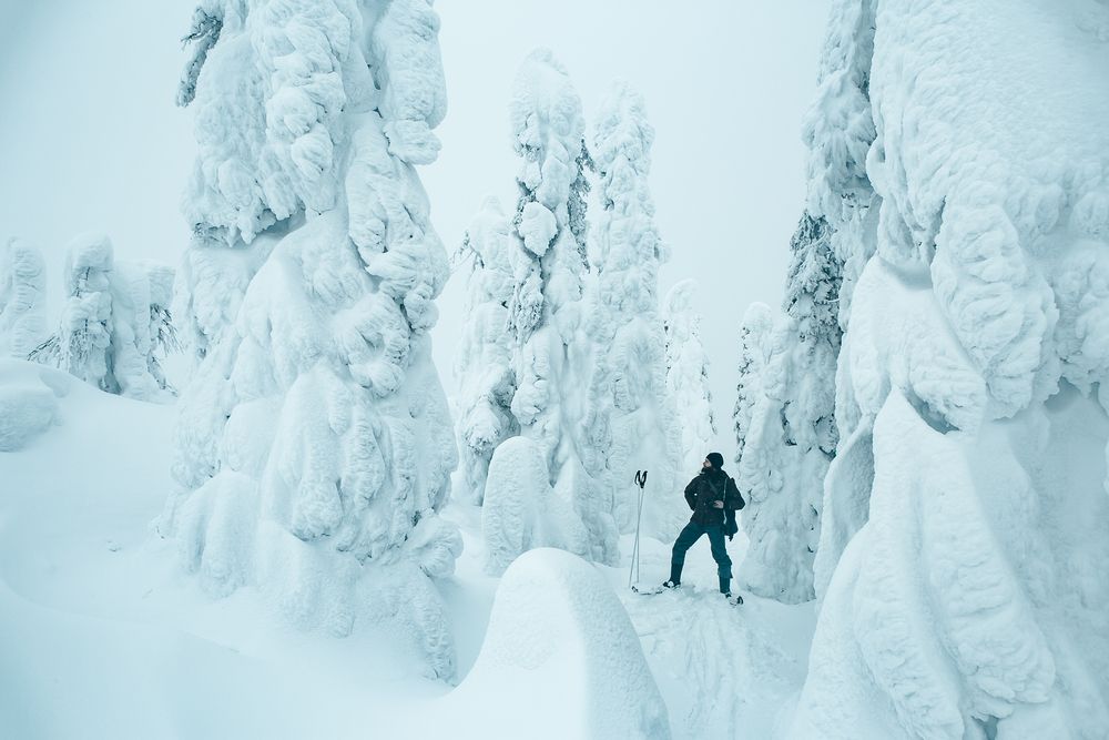 Photograph by Алексей Новиков