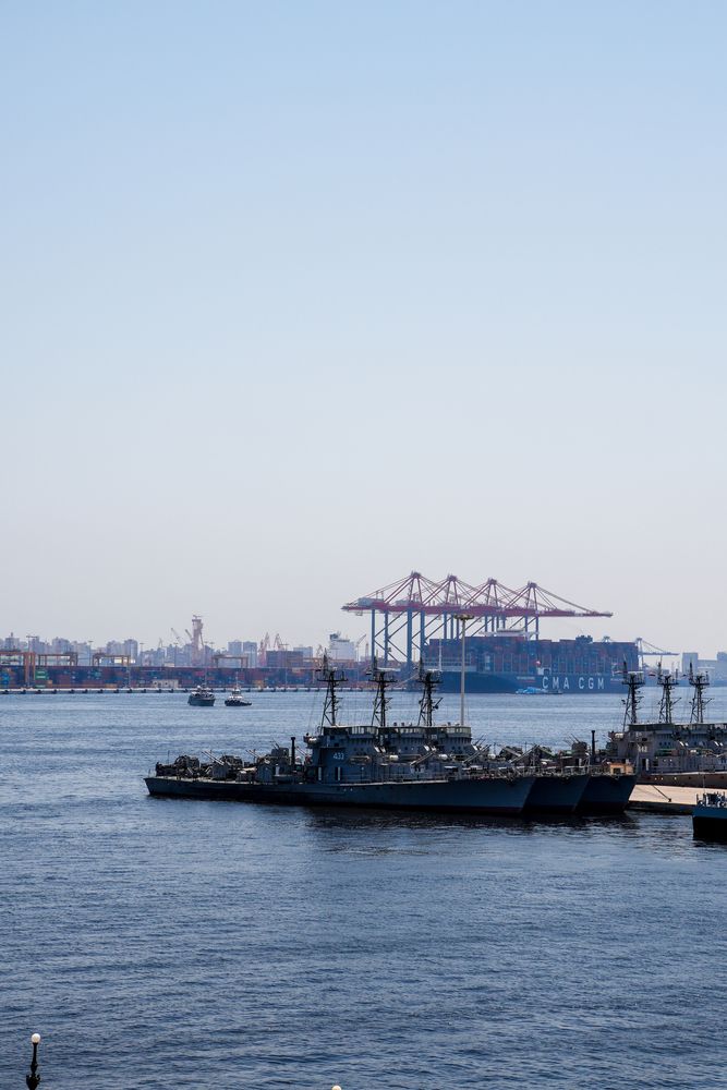 Фотография автора Sara Ali