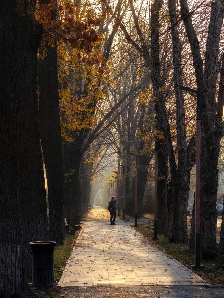 Photograph by Евгений Слепухин