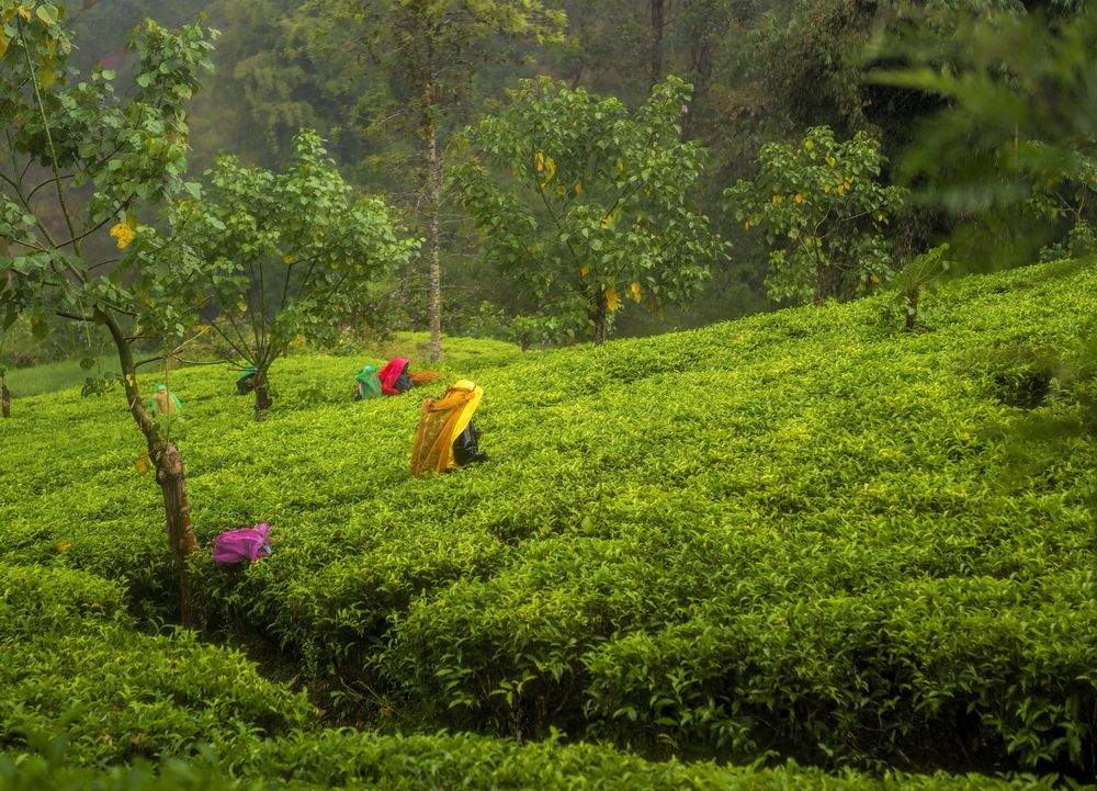 Photograph by Irina Grigoryeva