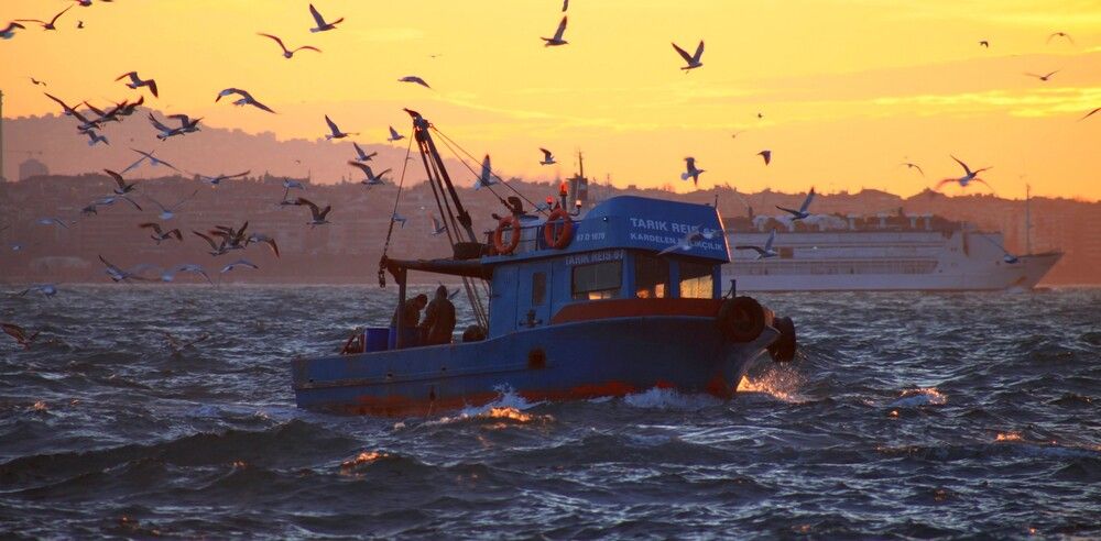 Photograph by ANDREY PERESHEIN