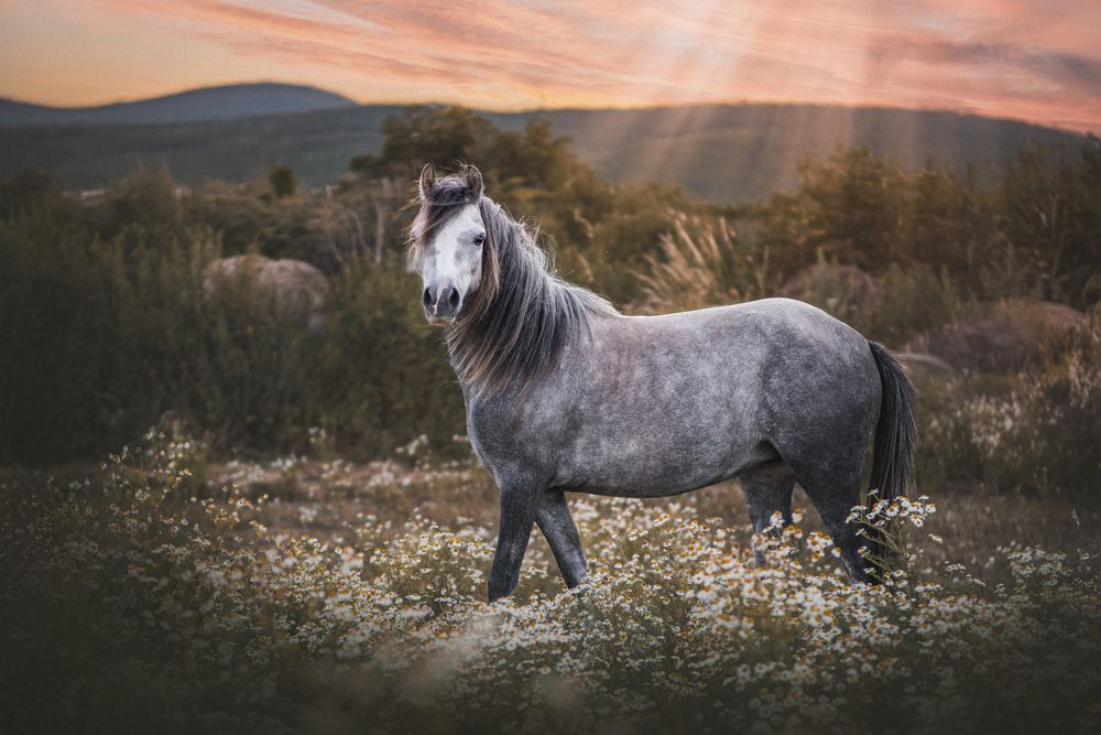 Photograph by Kateřina Pavlíková