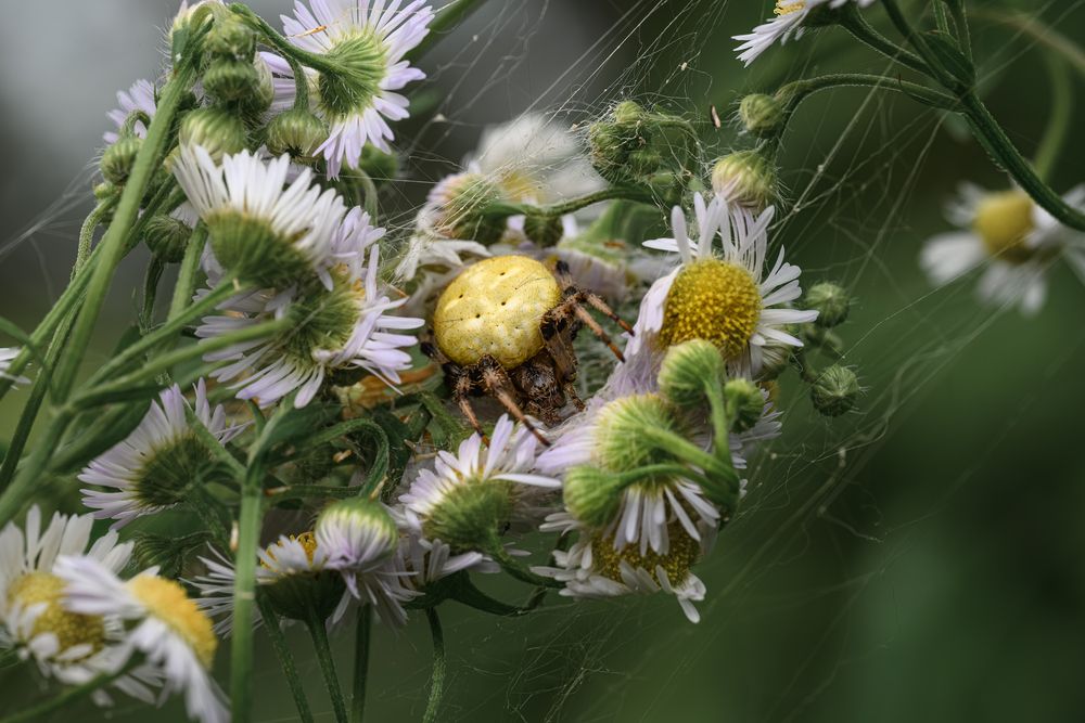 Photograph by Ирешева Мария
